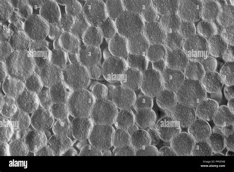 Macro Photo Eps Expanded Polystyrene Showing Some Links Between