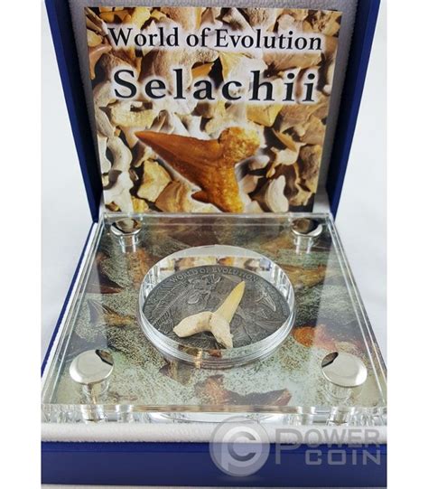 SELACHII World Of Evolution Sharks 1 Oz Silver Coin 1000 Francs Burkina