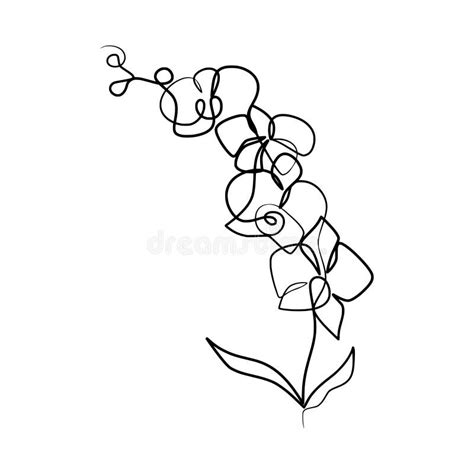 Continuous One Line Drawing Orchid Stock Illustrations 219 Continuous