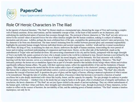 Role Of Heroic Characters In The Iliad Free Essay Example 619 Words