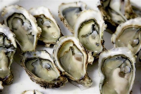 13 Delicious Oyster Facts You Probably Didn T Know