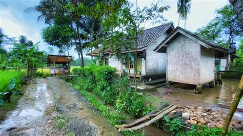 Wah Seenak Ini Saat Hujan Deras Di Kampung Sunda Yang Masih Asri