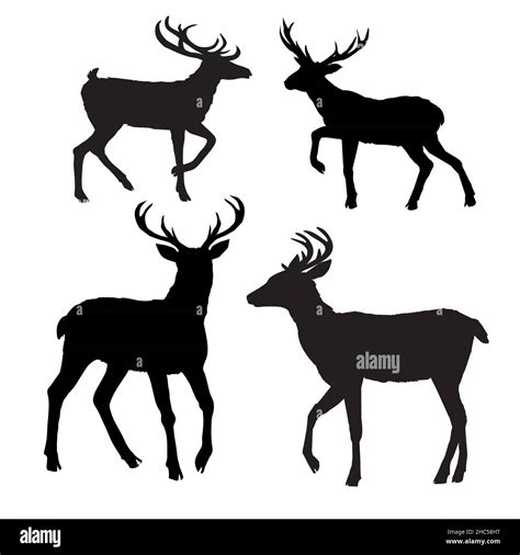 Adult Deer Stock Vector Images Alamy