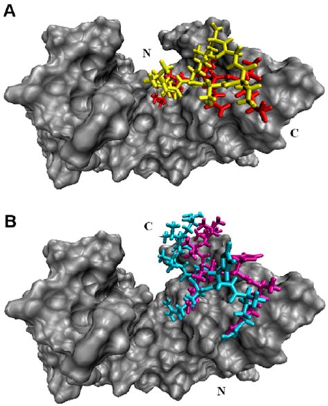 Two Different Binding Modes Of Jmjd2a Tudor A With Liganded To