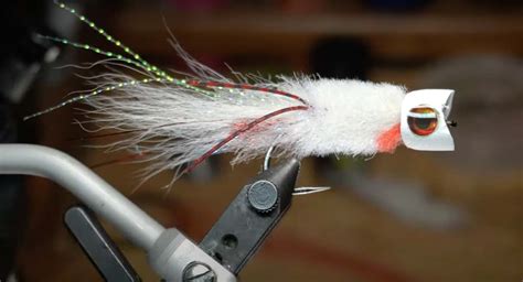 Pop A Top Popper For Saltwater And Also Bass McFly Angler Fly