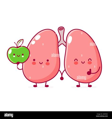 Cute funny human lungs organ with apple character. Vector flat line ...