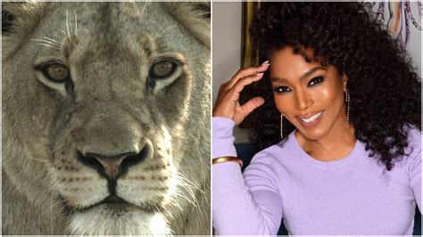 Angela Bassett To Narrate Fox Wildlife Special ‘Malika The Lion Queen ...