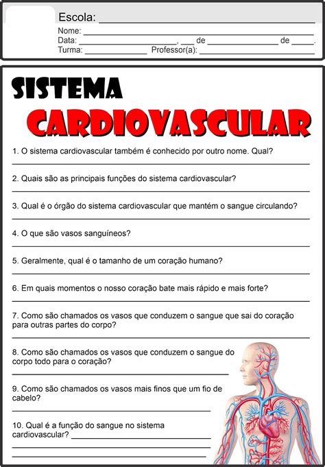 Atividades Sistema Cardiovascular 5 Ano Gabarito