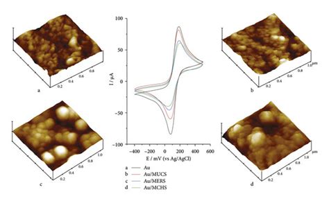 Cyclic Voltammograms Current Of The 20 Mm Fecn6 −3−4 Redox Download Scientific Diagram