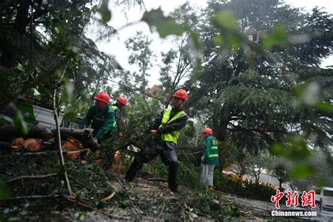 京津冀等地强降雨持续 你居家办公了吗？ 搜狐大视野 搜狐新闻