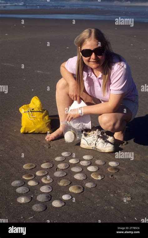 Netarts Spit Beach Sand Dollars Cape Lookout State Park Oregon Stock