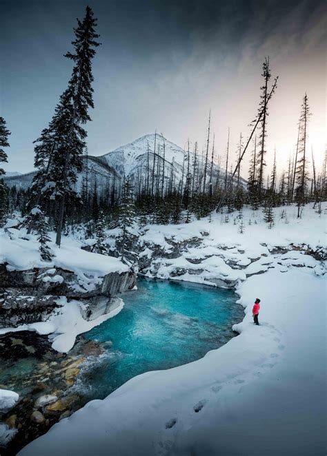 Canadian Rockies In Winter Marble Canyon Banff National Park National