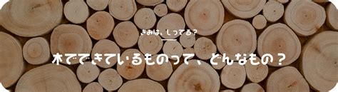 70以上 木 から できる もの 416911