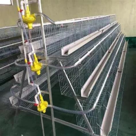 Layer Battery Cage Products Birds Cages Automatic