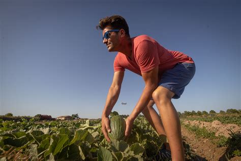 Entre verduras y pájaros en el Parc Agrari del Baix Llobregat