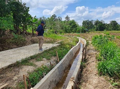 Peningkatan Jaringan Irigasi Di Kecamatan Selimbau Info Kapuas Hulu