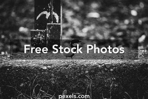 wallpaper wall      wallpaper wall stock