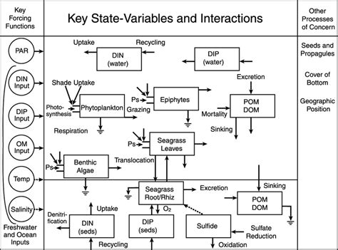 14 Ecosystem process model of south Florida estuarine systems.... | Download Scientific Diagram