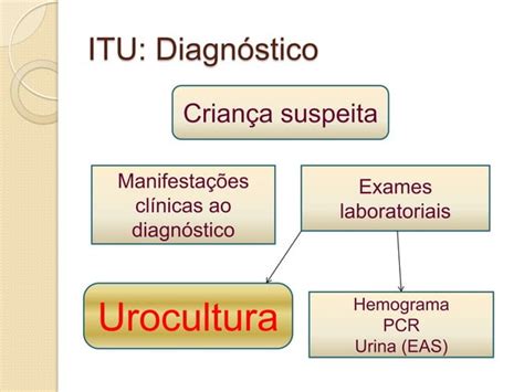 Infecção Do Trato Urinário Na Infância Itu