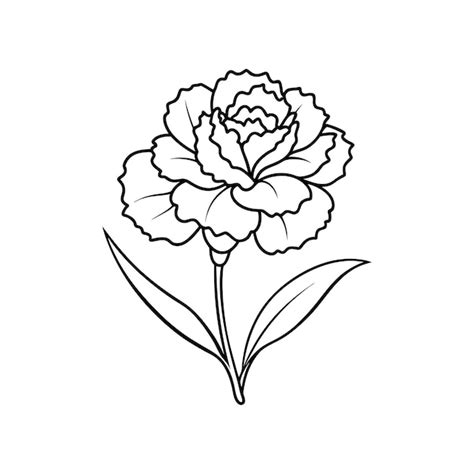 Conjunto De Diferentes Lienzos De Flores Sobre Un Fondo Blanco Vector