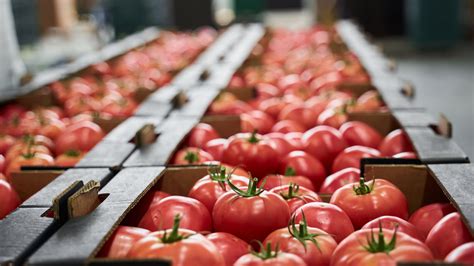 Ces 3 fruits et légumes qui pourraient manquer cet hiver dans les