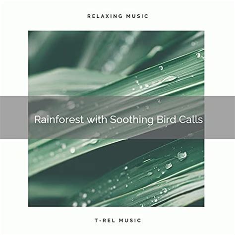 Amazon Music Rain Sounds And Nature Sounds Rain Sounds Fxの