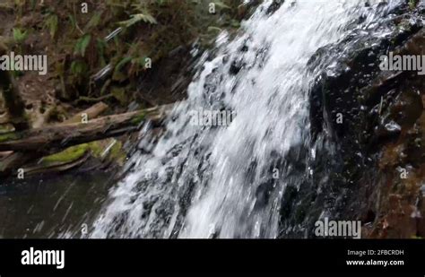 Bremerton Olympic Peninsula Stock Videos And Footage Hd And 4k Video