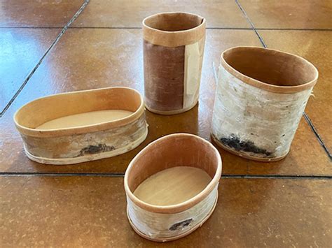 Harvesting Birch Bark Cylinders Introduction To Making A Tues The