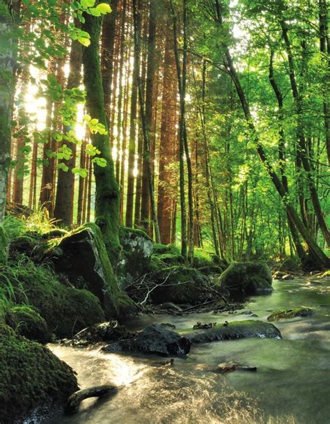 Volets Battants Coulissants Et Persiennes Tants