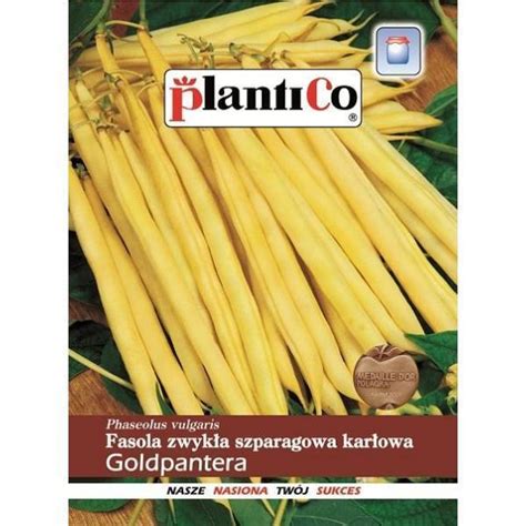 Fasola Szparagowa Karłowa Żółta Goldpantera 40G Standard Plantico