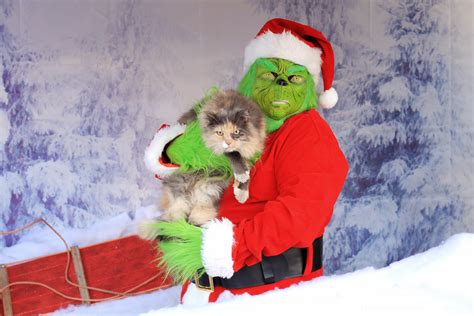 GET YOUR PHOTO WITH THE GRINCH 2023 – Floral Acres Greenhouse & Garden ...