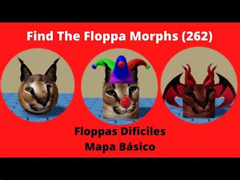 Como Conseguir Los Floppas De Mapa B Sico Dif Ciles Find The Floppa