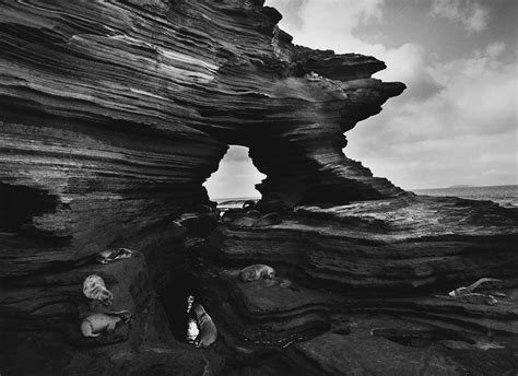 Sebastiao Salgado From His Genesis Series Sebastiao Salgado