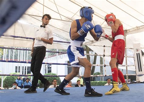 Campeonato Nacional Junior De Boxeo Federaci N Mexicana De