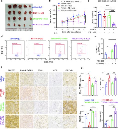 Pfk Combined Pd Mab Therapy Significantly Inhibits Tumor Growth