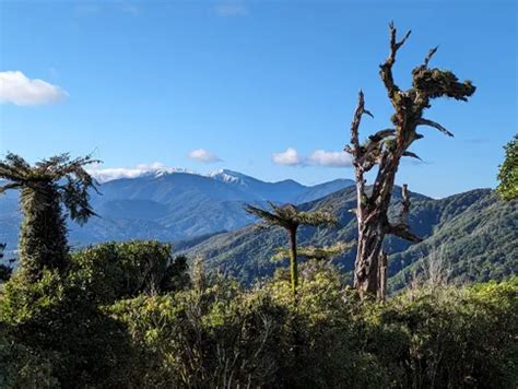 10 Best Trails And Hikes In Upper Hutt Alltrails