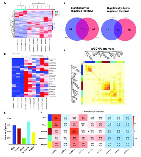 Integrative Analysis Of Differential Lncrnas Expression Profiling And