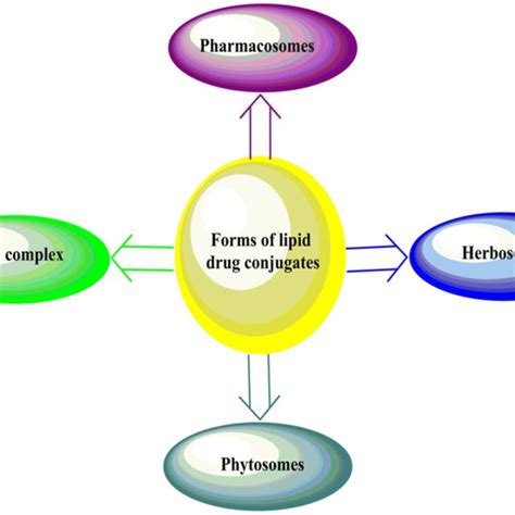 Various Forms Of Lipid Drug Conjugates A Higher Resolution Colour Download Scientific