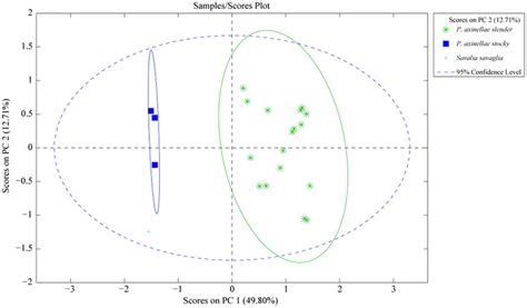 Principal Component Analysis Pca Of Metabolomic Profiles Of Both P