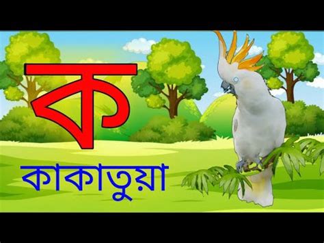 ক য ককতয ক য ককতয খ খত koy kakatua khoy khata