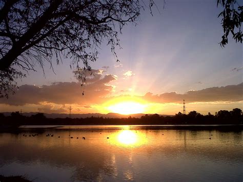 Atardecer En El Lago De Los Lirios En Cuautitlan Izcalli Paisajes