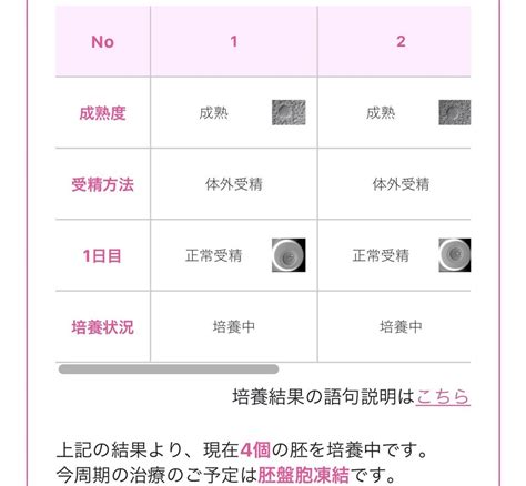 採卵周期5回目klc1回目 アラフォー会社員。klcで不妊治療中。