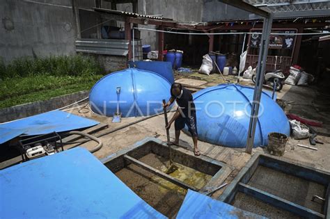 Pemanfaatan Limbah Kotoran Ternak Jadi Energi Biogas Di Jakarta