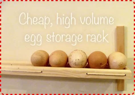 Homemade Kitchen Egg Storage Rack DIY Project - The Homestead Survival