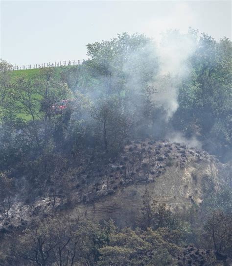 In Fiamme Un Ettaro Di Bosco Lincendio Lambisce Il Mirage