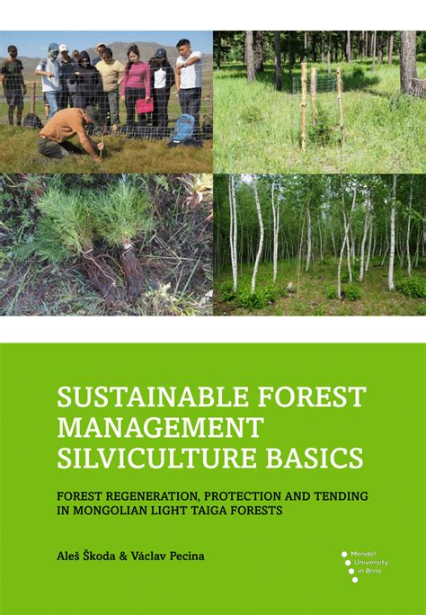 PDF SUSTAINABLE FOREST MANAGEMENT SILVICULTURE BASICS Forest