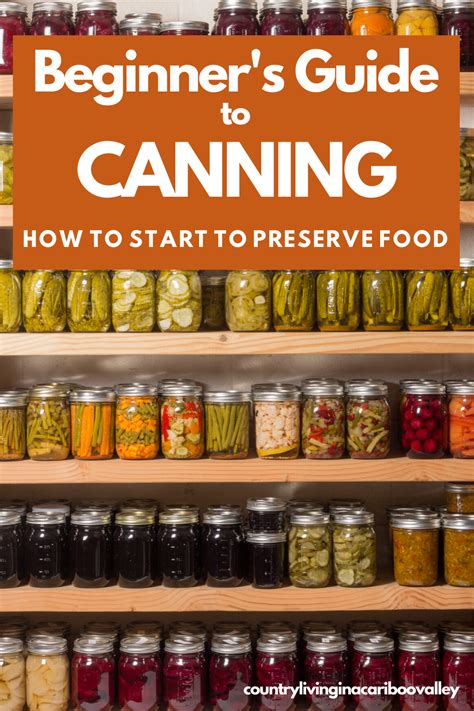 Food Canning And Pickles Artofit