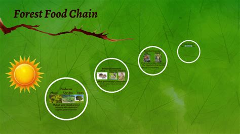 Forest Ecosystem Food Chain by Iker Cerda on Prezi