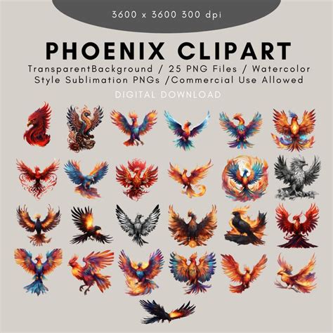 Phoenix Clipart Bundle PNG Transparent Background Phoenix Watercolor