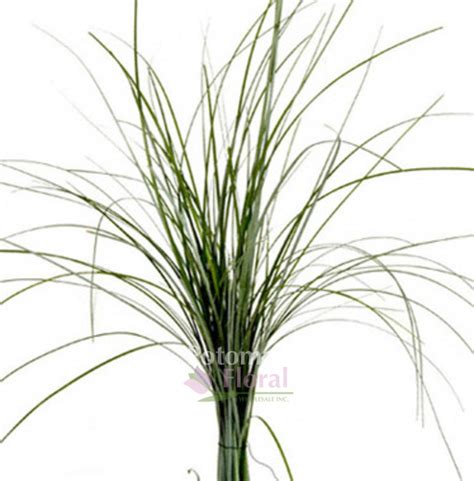 Bear Grass Centerpiece